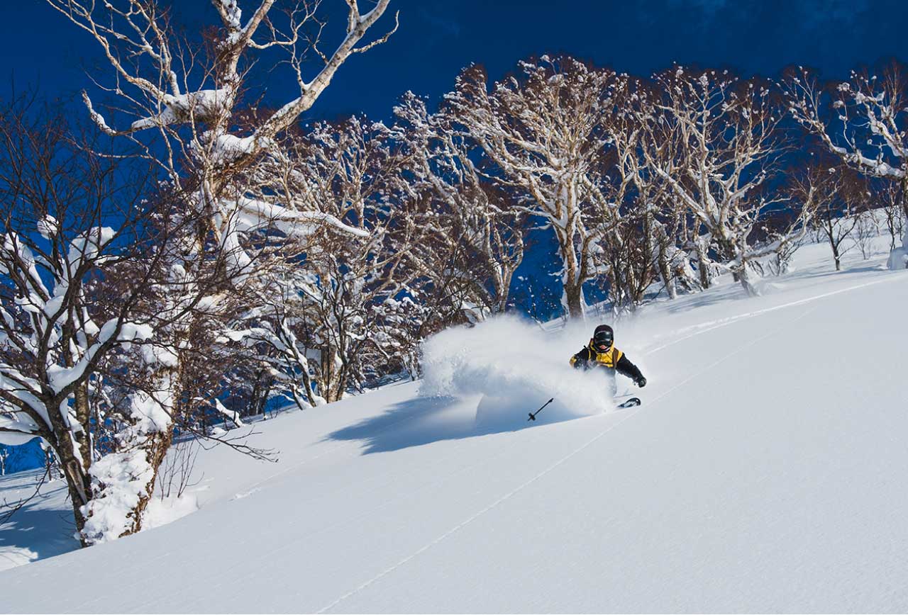 北海道の雪山でスキーをするイメージ