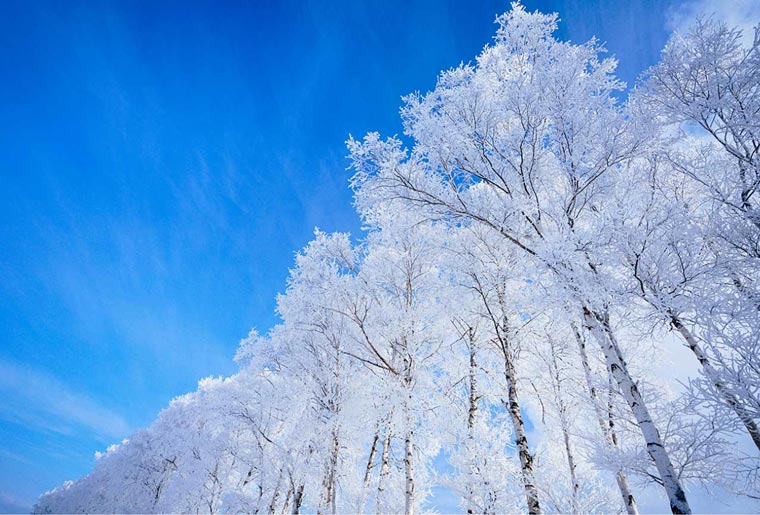 北海道の冬の自然イメージ