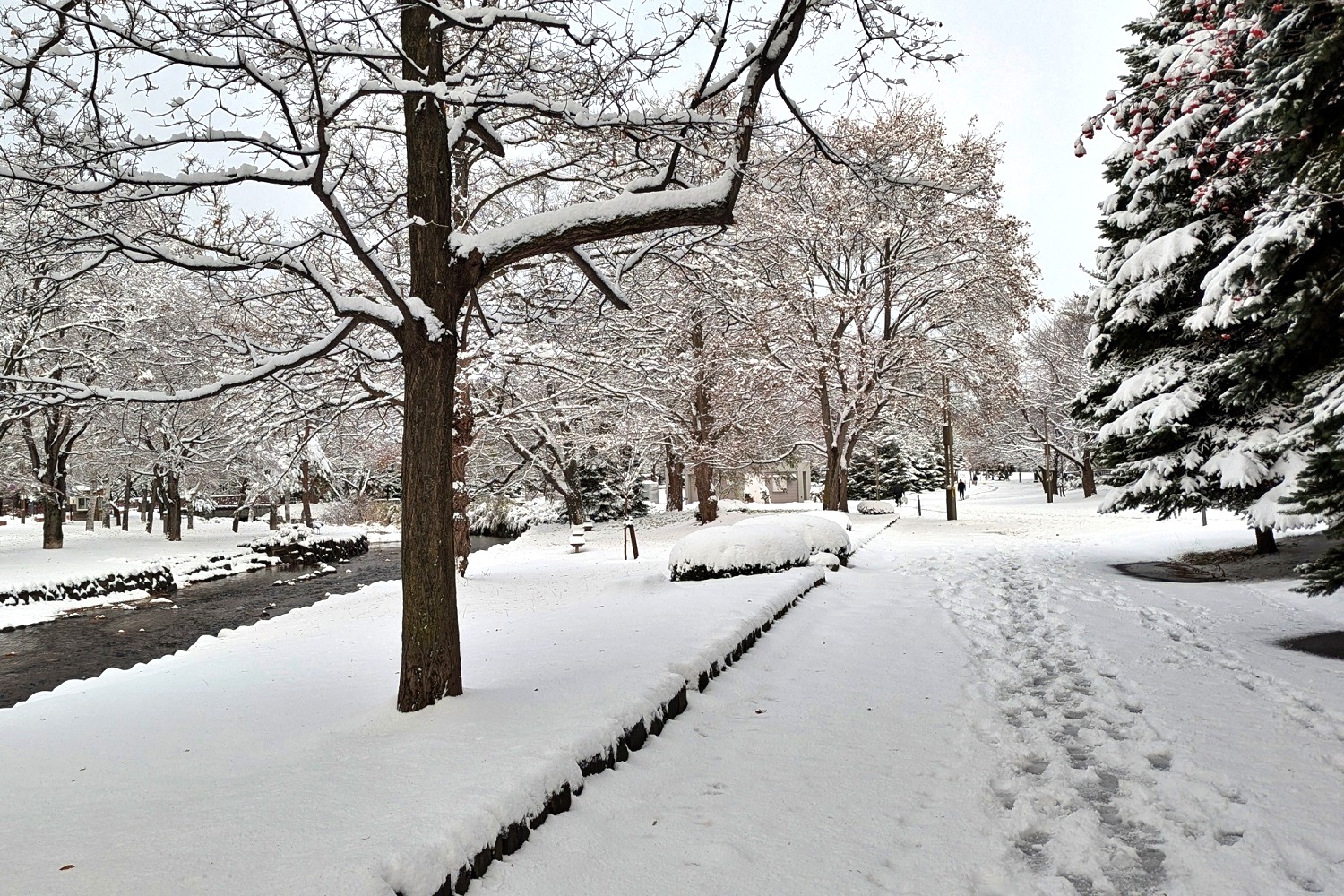 札幌市の雪景色