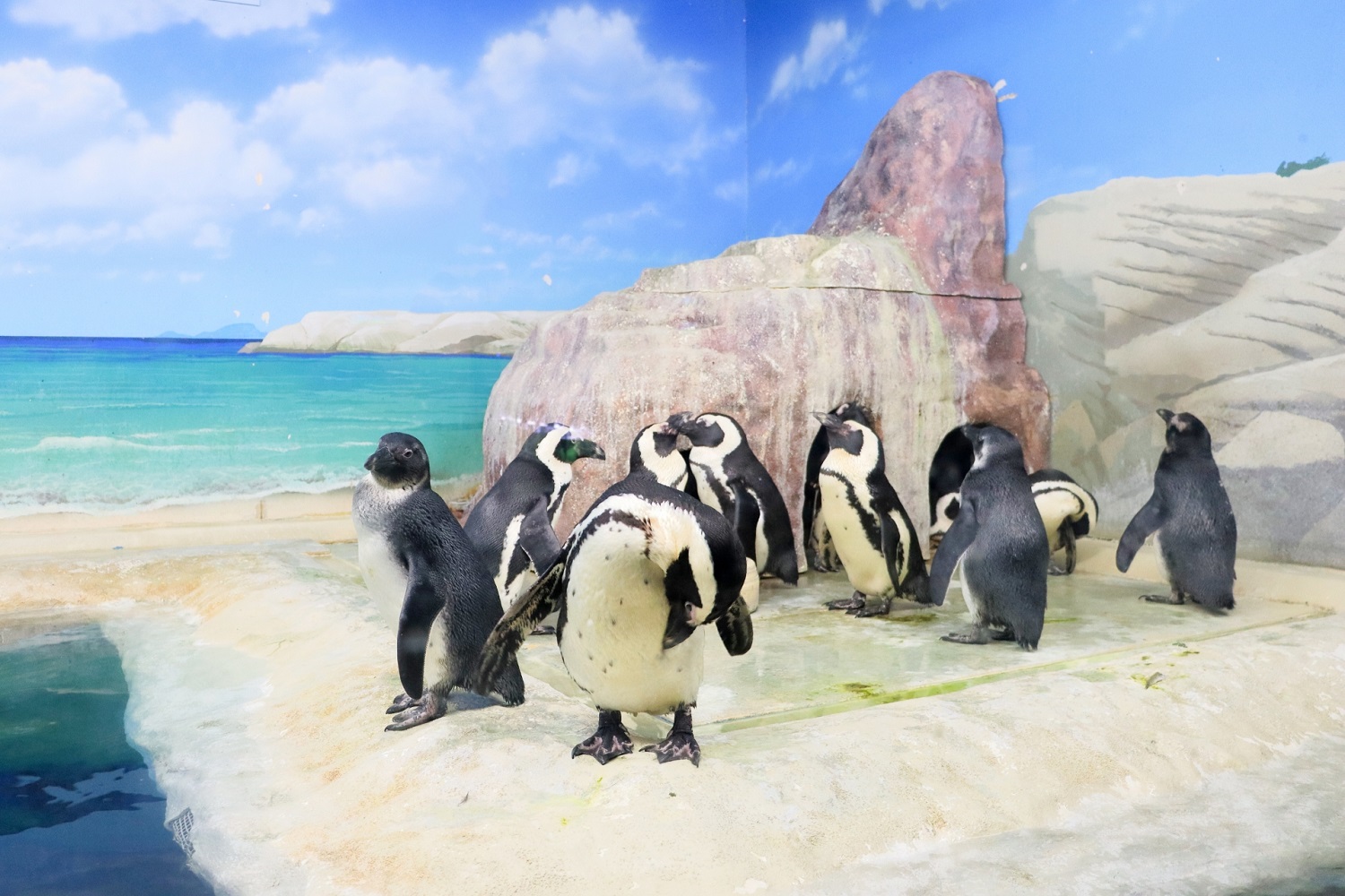 サンピアザ水族館