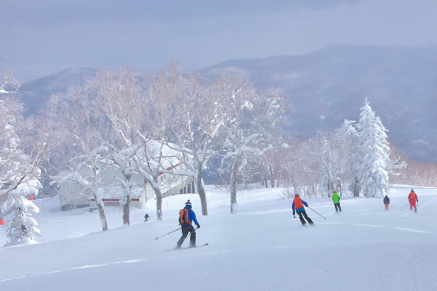 札幌国際スキー場