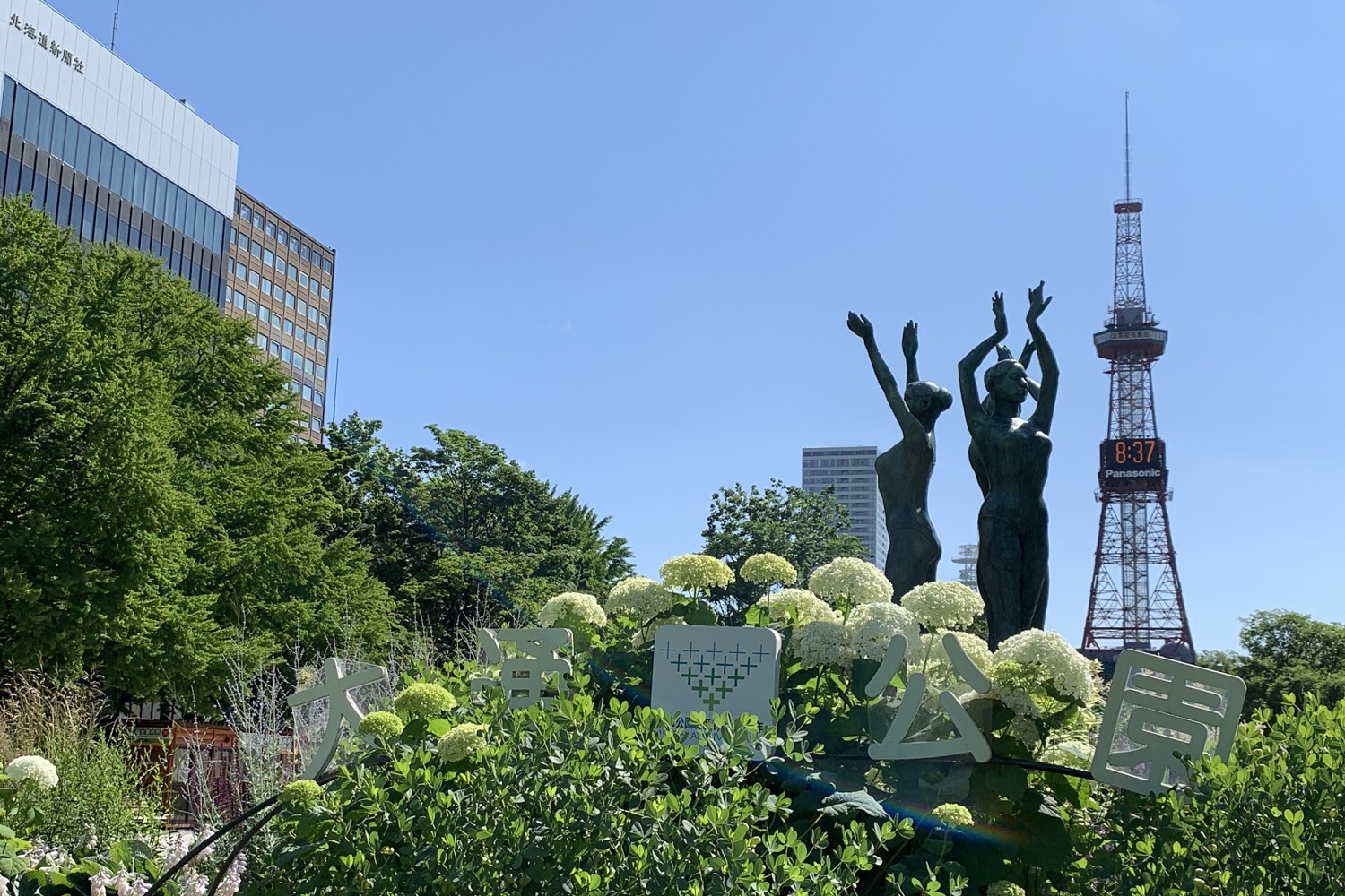 大通公園