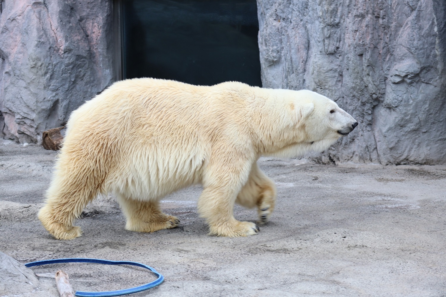 旭川動物園
